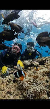 武藤潜水に投稿された画像（2024/8/6）