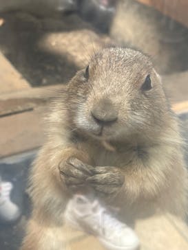 横浜・八景島シーパラダイスに投稿された画像（2024/8/6）