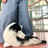 那須ワールドモンキーパークに投稿された画像（2024/8/6）