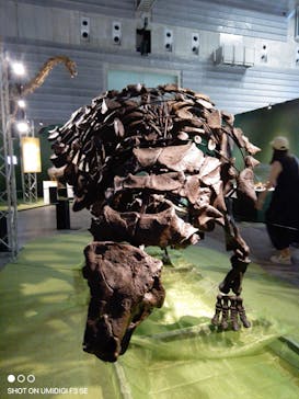 巨大恐竜展2024に投稿された画像（2024/8/6）