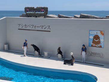 鴨川シーワールドに投稿された画像（2024/8/6）