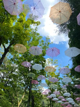 ムーミンバレーパークに投稿された画像（2024/8/6）