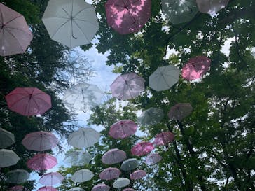 ムーミンバレーパークに投稿された画像（2024/8/6）