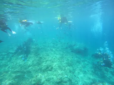 武藤潜水に投稿された画像（2024/8/6）