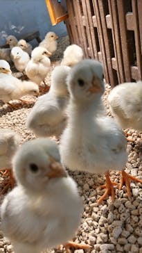 Moff アニマル カフェ イーアス 高尾店に投稿された画像（2024/8/6）