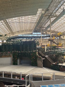 スパリゾートハワイアンズに投稿された画像（2024/8/6）