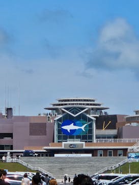 アクアワールド茨城県大洗水族館に投稿された画像（2024/8/6）