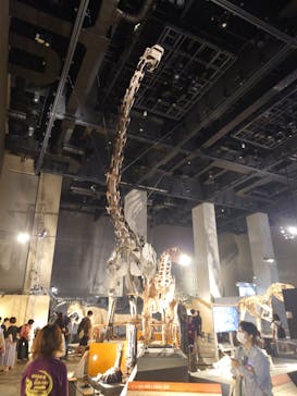 福井県立恐竜博物館に投稿された画像（2024/8/6）