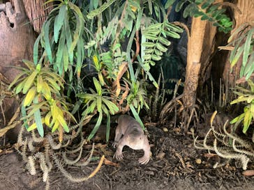 福井県立恐竜博物館に投稿された画像（2024/8/6）