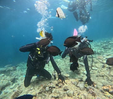 沖縄マリンサービス碧に投稿された画像（2024/8/6）