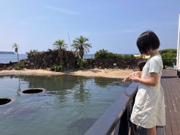 串本海中公園水族館に投稿された画像（2024/8/6）