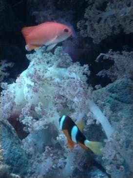 マリンワールド海の中道に投稿された画像（2024/8/6）