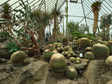 伊豆シャボテン動物公園に投稿された画像（2024/8/6）