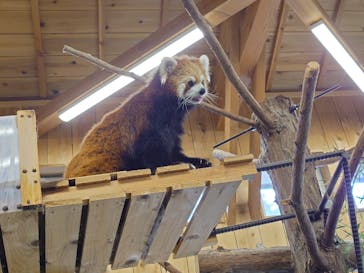 伊豆シャボテン動物公園に投稿された画像（2024/8/6）