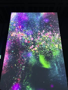 モネ＆フレンズ・アライブに投稿された画像（2024/8/6）