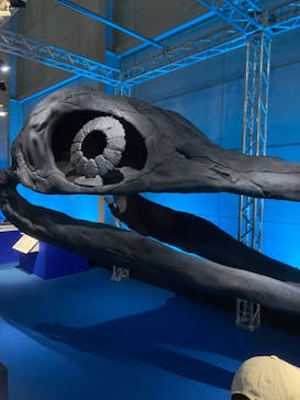 巨大恐竜展2024に投稿された画像（2024/8/6）