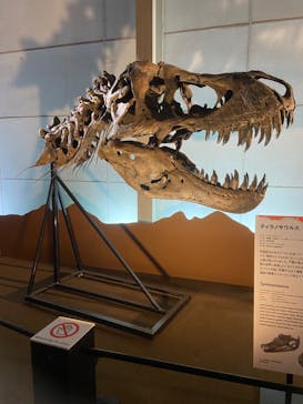 巨大恐竜展2024に投稿された画像（2024/8/6）