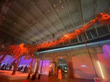 巨大恐竜展2024に投稿された画像（2024/8/6）