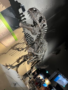 福井県立恐竜博物館に投稿された画像（2024/8/6）