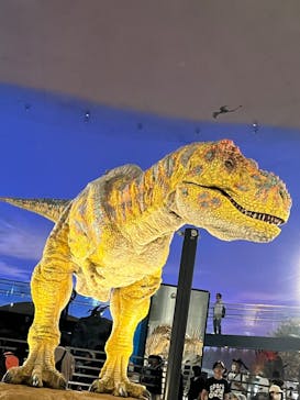 福井県立恐竜博物館に投稿された画像（2024/8/6）