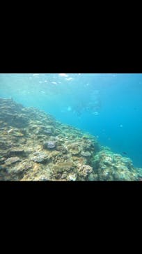 武藤潜水に投稿された画像（2024/8/6）