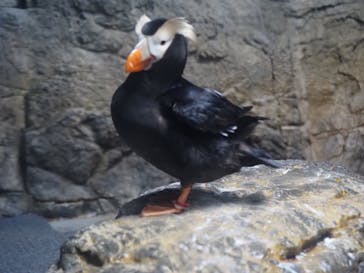 葛西臨海水族園に投稿された画像（2024/8/6）