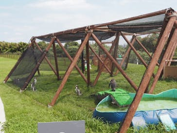 葛西臨海水族園に投稿された画像（2024/8/6）