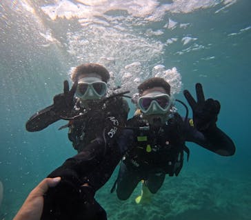 沖縄マリンサービス碧に投稿された画像（2024/8/6）