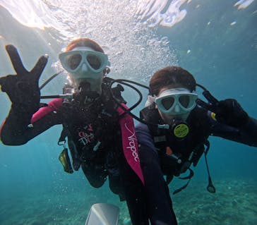 沖縄マリンサービス碧に投稿された画像（2024/8/6）