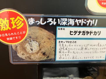 竹島水族館に投稿された画像（2024/8/6）