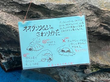 竹島水族館に投稿された画像（2024/8/6）