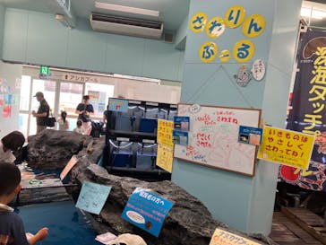 竹島水族館に投稿された画像（2024/8/6）