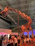 巨大恐竜展2024に投稿された画像（2024/8/6）