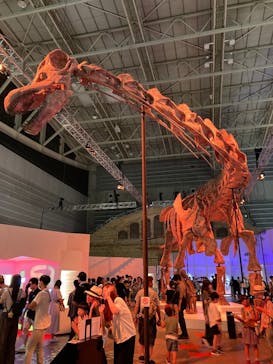 巨大恐竜展2024に投稿された画像（2024/8/6）