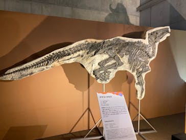 巨大恐竜展2024に投稿された画像（2024/8/6）