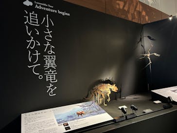 DinoScience 恐竜科学博 ～ララミディア大陸の恐竜物語～ 2024@OSAKAに投稿された画像（2024/8/6）