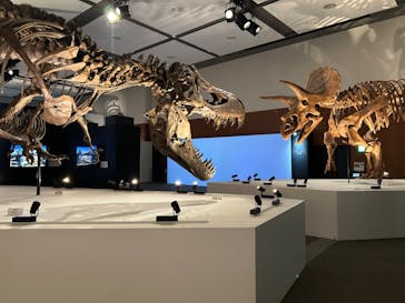 DinoScience 恐竜科学博 ～ララミディア大陸の恐竜物語～ 2024@OSAKAに投稿された画像（2024/8/6）