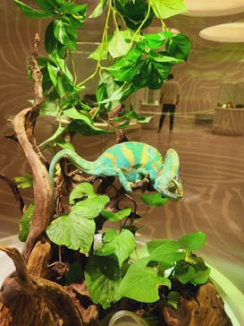 NIFREL（ニフレル）に投稿された画像（2024/8/6）