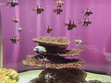 NIFREL（ニフレル）に投稿された画像（2024/8/6）