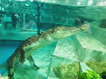 NIFREL（ニフレル）に投稿された画像（2024/8/6）