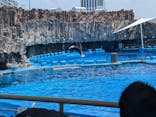 名古屋港水族館に投稿された画像（2024/8/6）