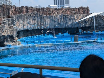 名古屋港水族館に投稿された画像（2024/8/6）