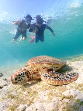 宮古島マリン GB QUESTに投稿された画像（2024/8/6）