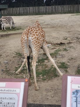 東武動物公園に投稿された画像（2024/8/6）