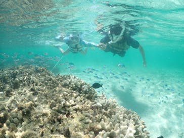 初心者専門宮古島シュノーケリングツアーに投稿された画像（2024/8/6）