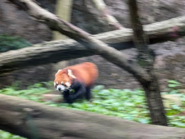 多摩動物公園に投稿された画像（2024/8/6）