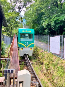 岐阜県博物館に投稿された画像（2024/8/6）
