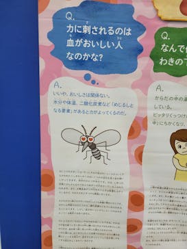 超からだのひみつ大冒険2024実行委員会に投稿された画像（2024/8/6）