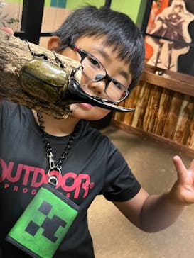 JOYPOLIS 特別イベントスペースに投稿された画像（2024/8/6）