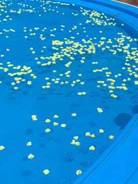 日本モンキーパークに投稿された画像（2024/8/6）